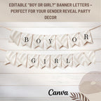 Elegant Gender Reveal Bunting Banner