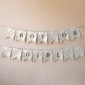 Elegant Gender Reveal Bunting Banner