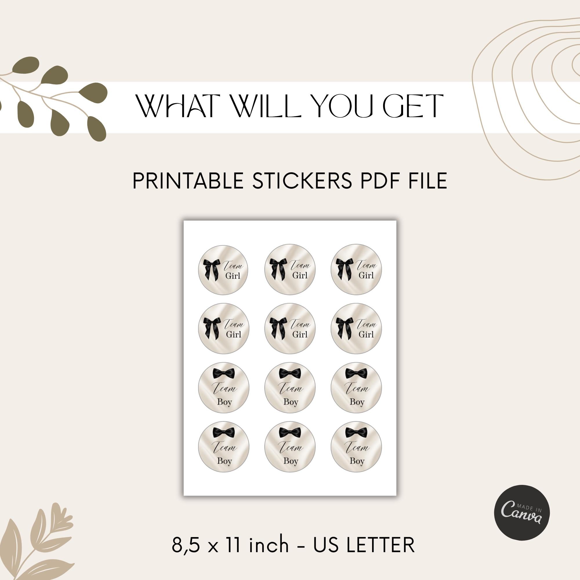 Elegant Gender Reveal Voting Stickers